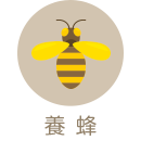 養蜂